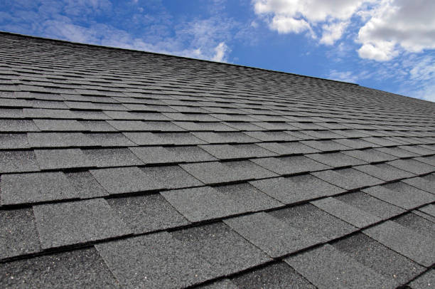 Best Skylight Installation and Repair  in Heceta Beach, OR